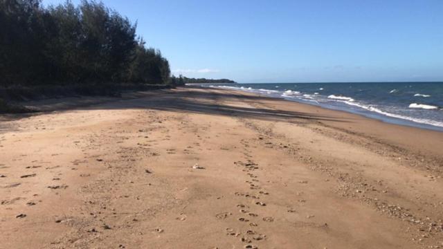 Balgal Beach Units Rollingstone Eksteriør billede